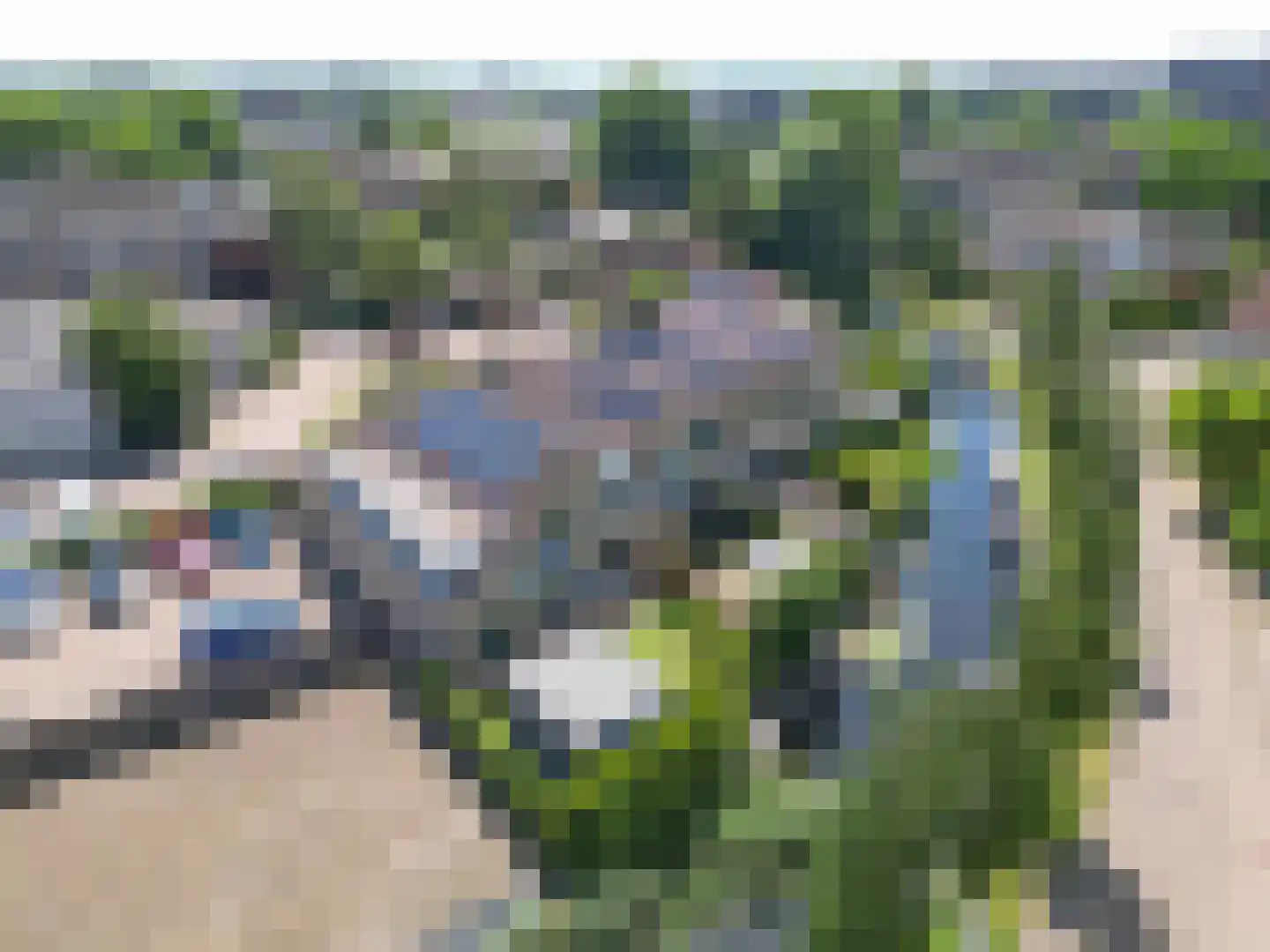 De Schans 9 Rijnsburg thumbnail 48