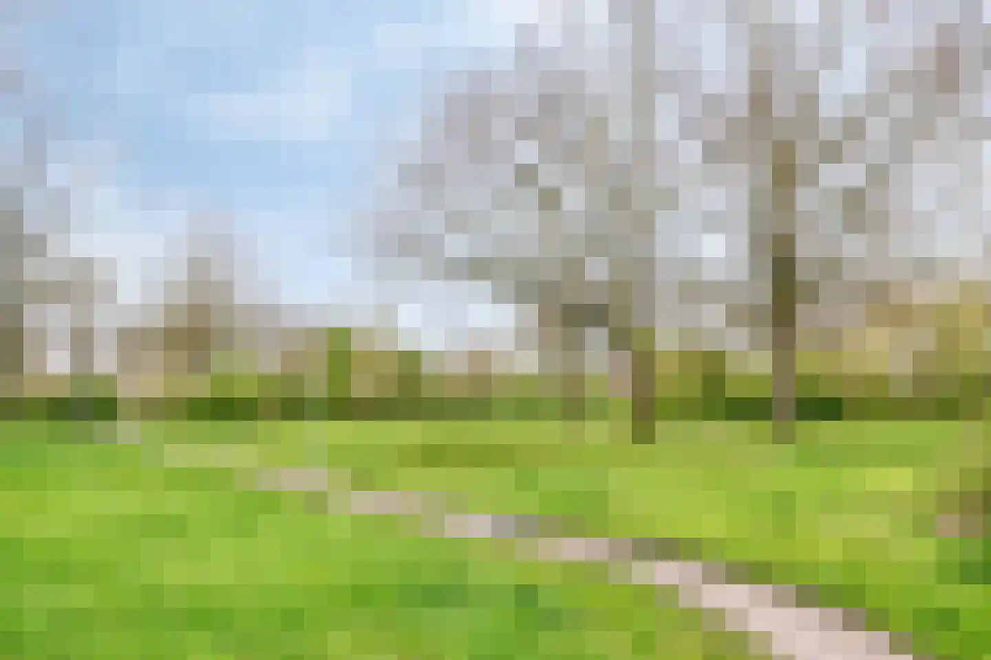 De Schans 9 Winsum thumbnail 44
