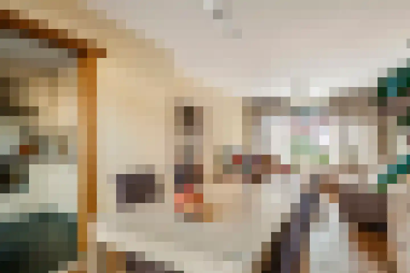 De Schans 99 Hoornaar thumbnail 10