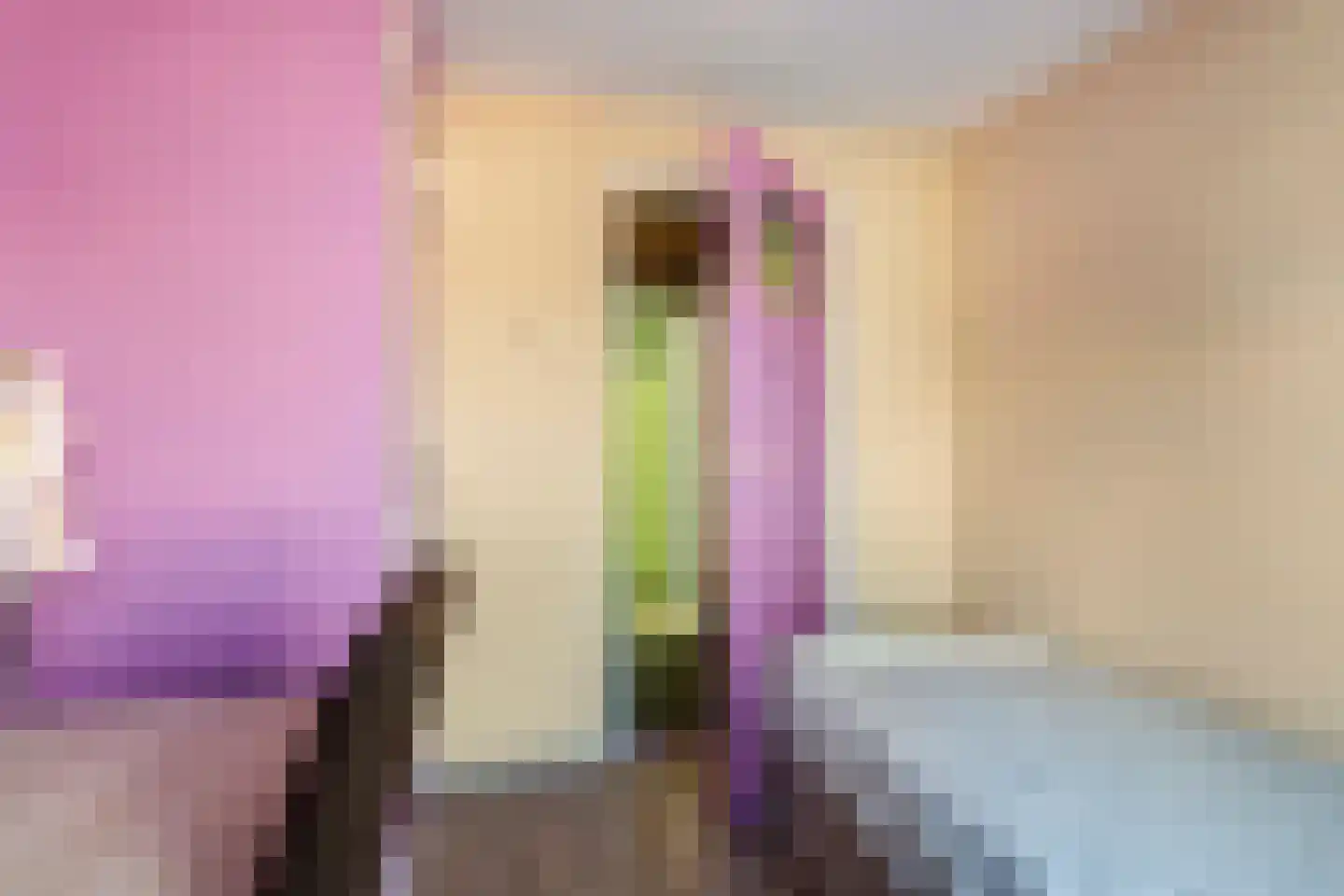 De Schans 99 Hoornaar thumbnail 23