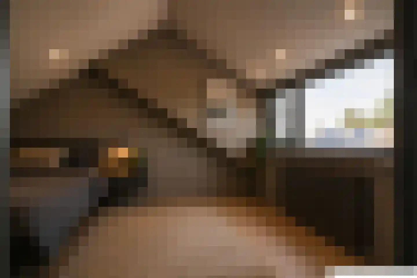 De Schans 99 Hoornaar thumbnail 26