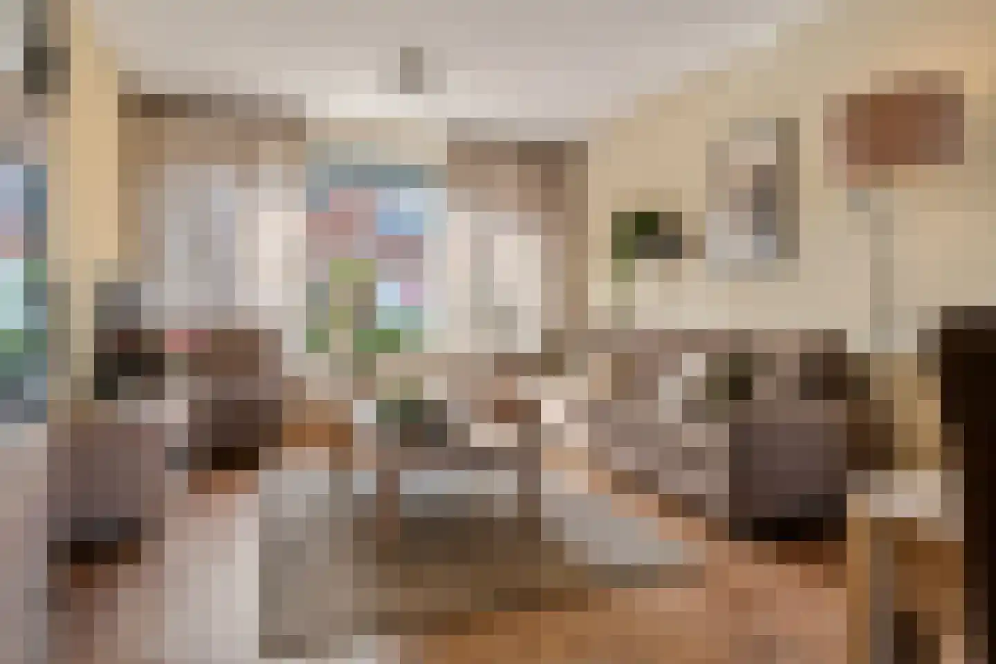 De Schans 99 Hoornaar foto 3