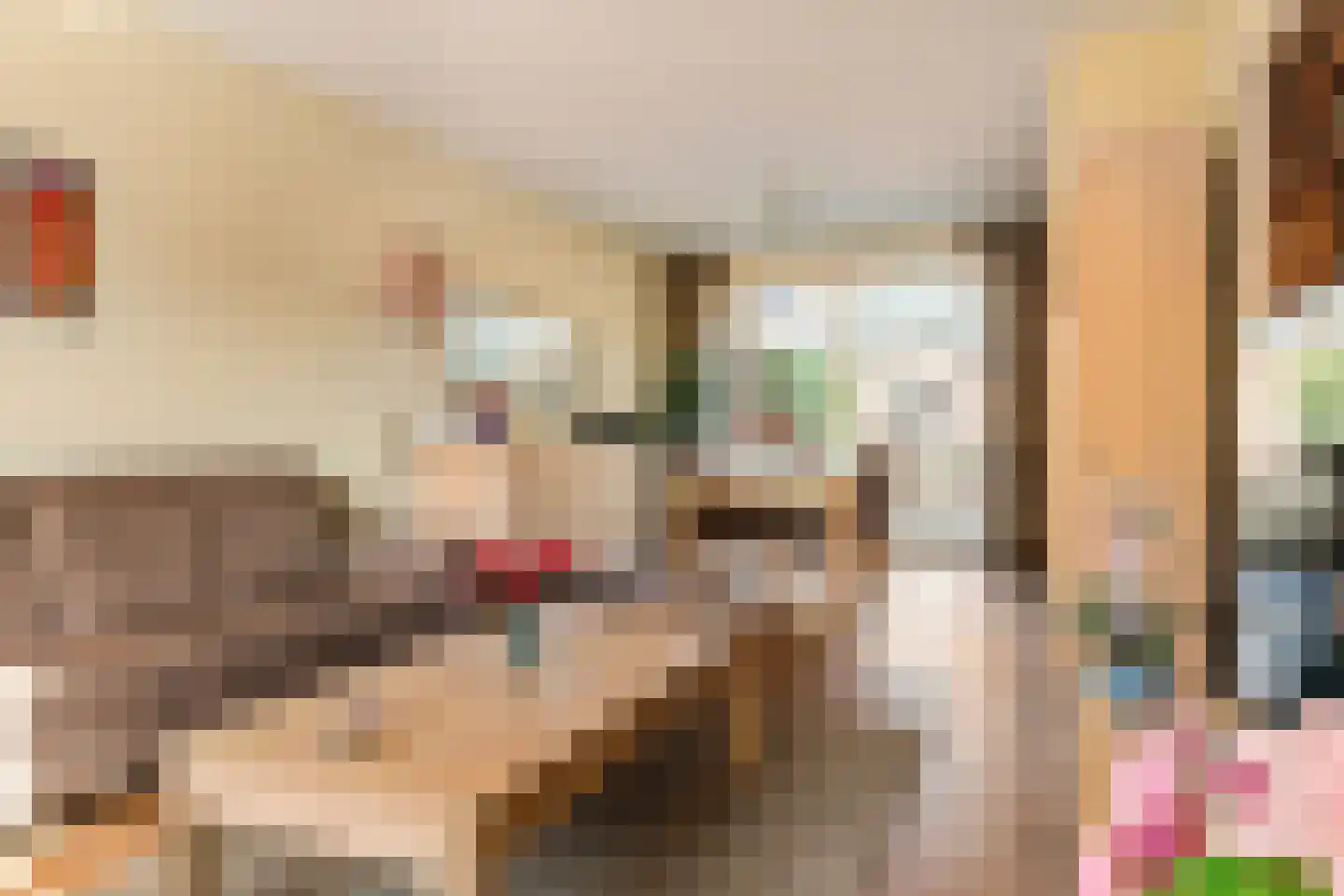 De Schans 99 Hoornaar thumbnail 4