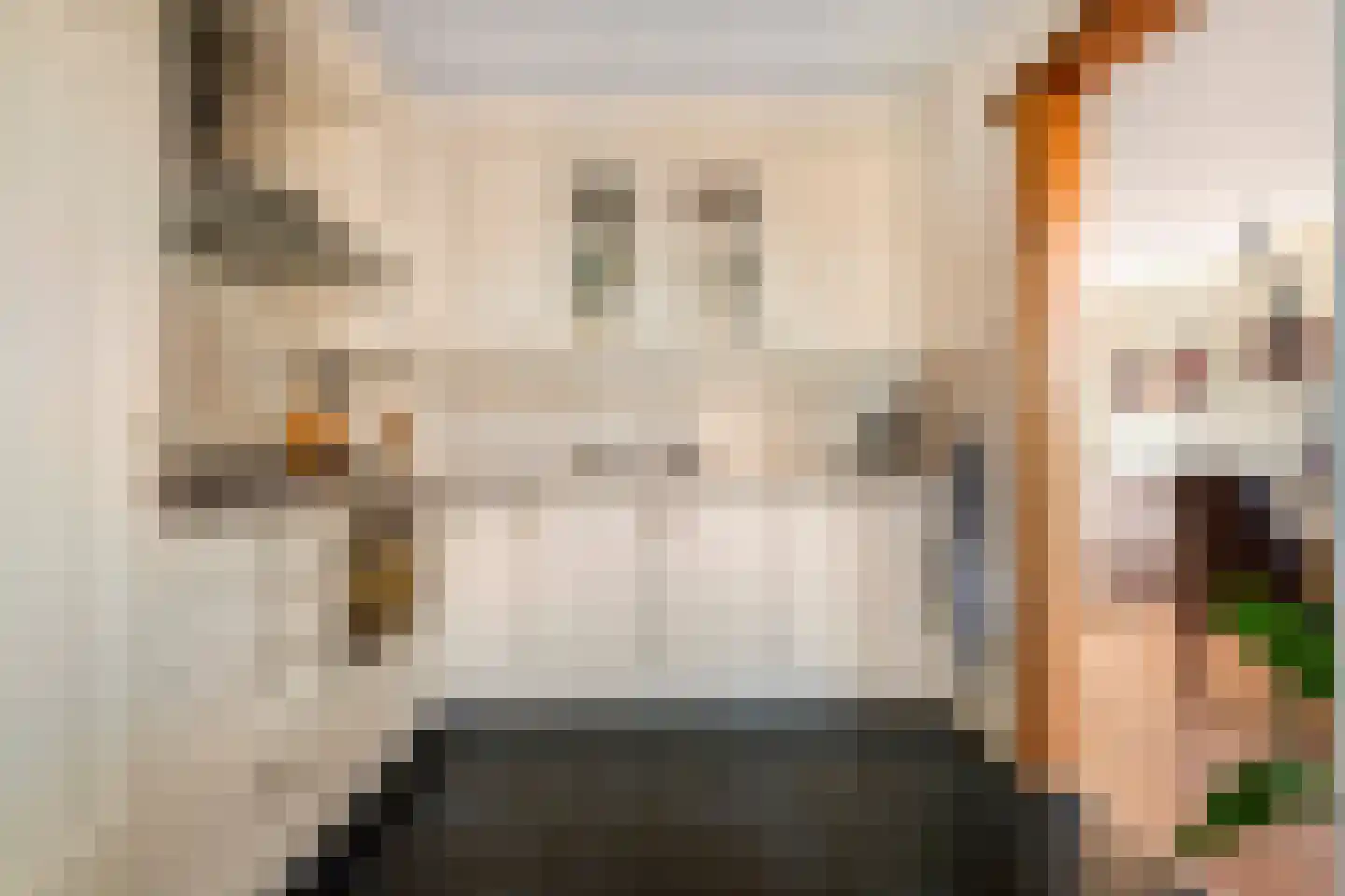 De Schans 99 Hoornaar thumbnail 5