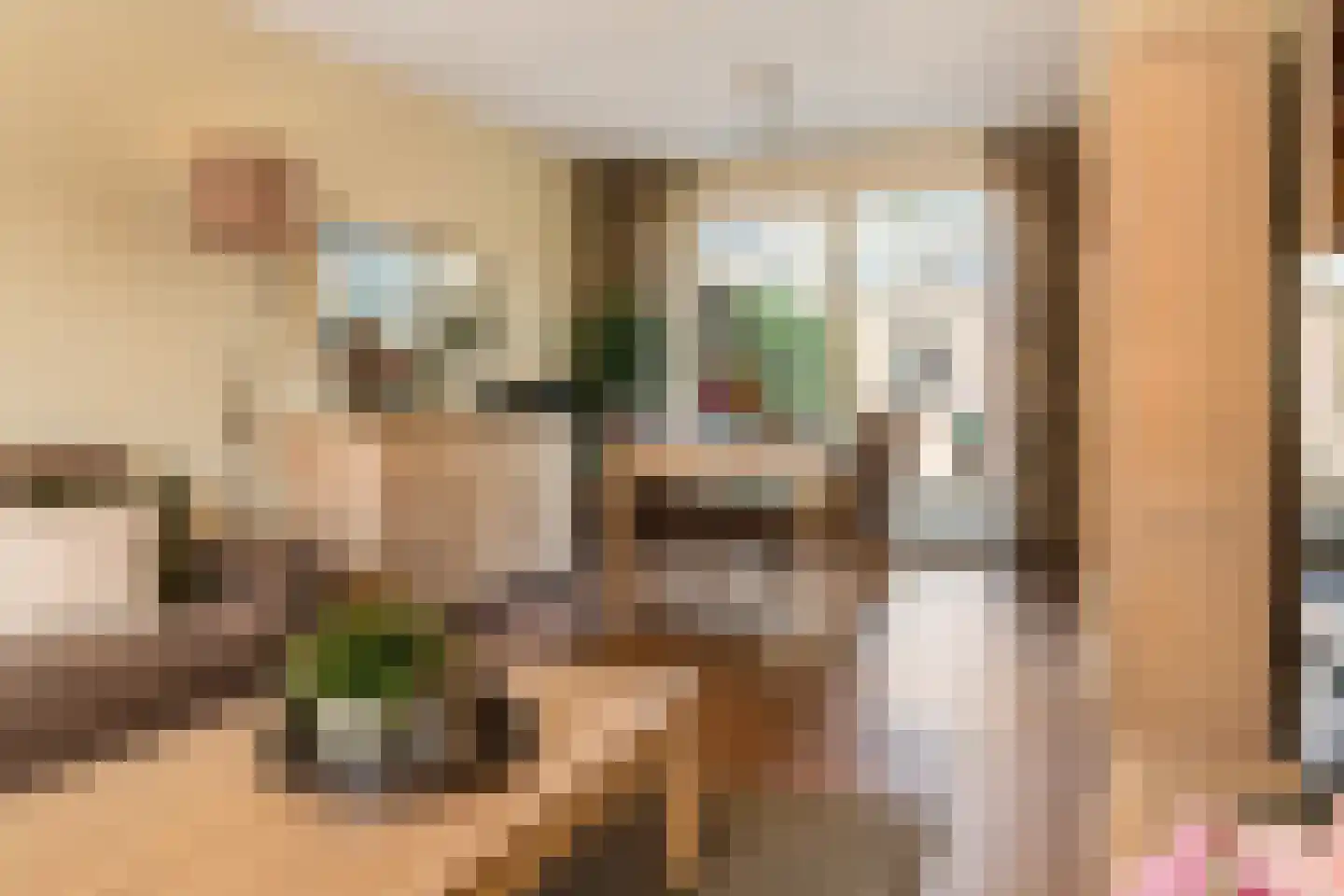 De Schans 99 Hoornaar thumbnail 5