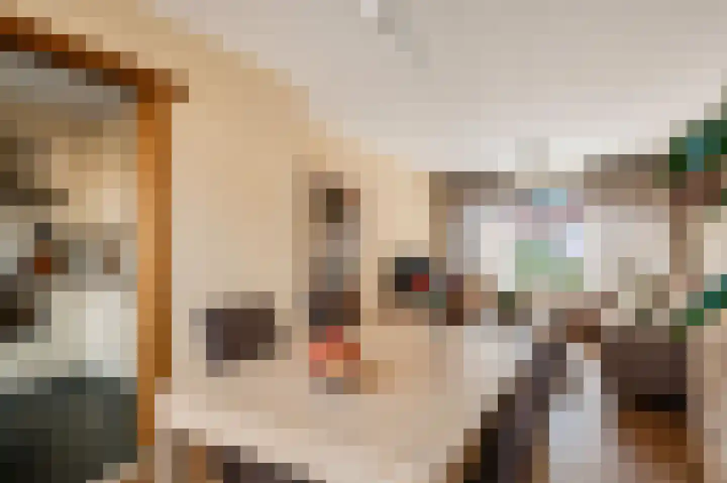 De Schans 99 Hoornaar thumbnail 7