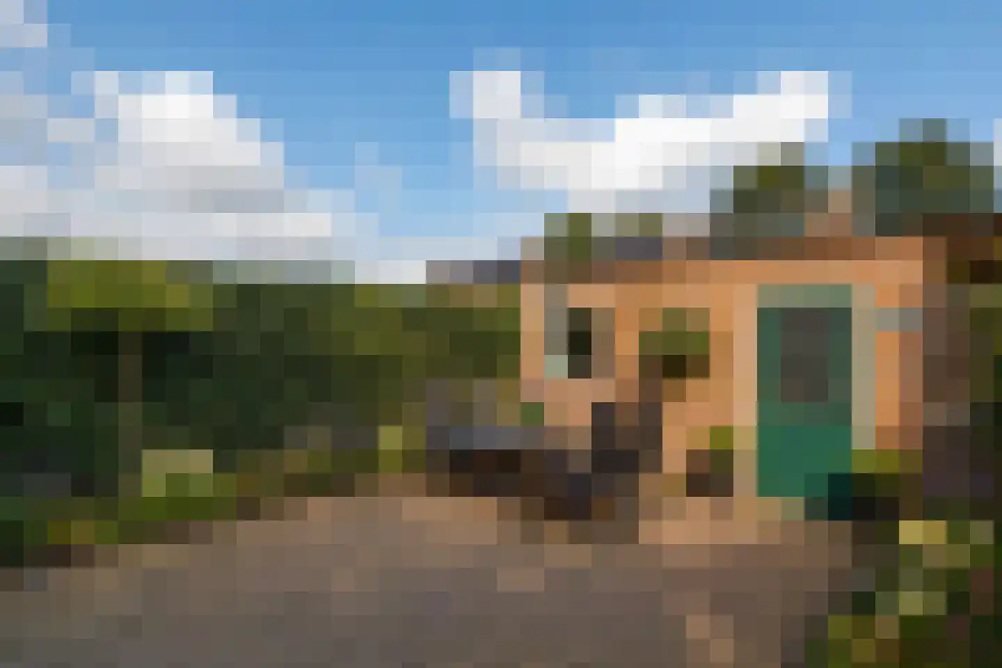 De Schans 99 Hoornaar thumbnail 9