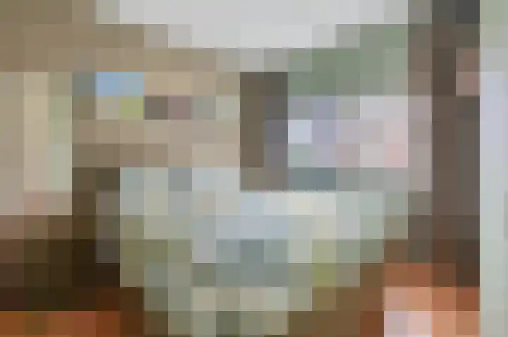 De Schansgraaf 14 Venlo thumbnail 11