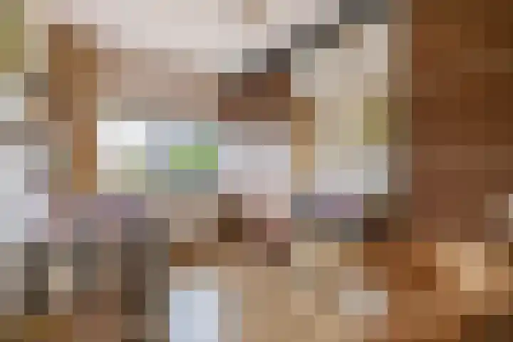 De Schansgraaf 14 Venlo thumbnail 12