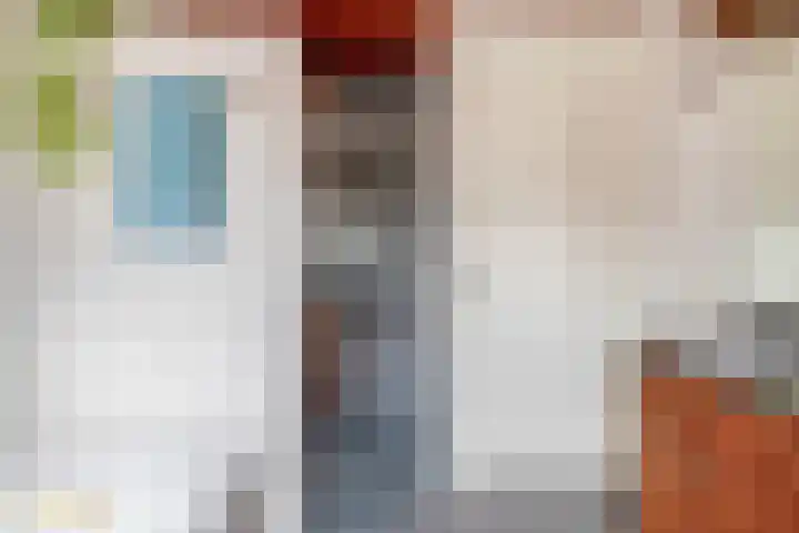 De Schansgraaf 14 Venlo thumbnail 15