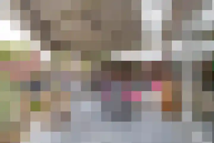 De Schansgraaf 14 Venlo thumbnail 19