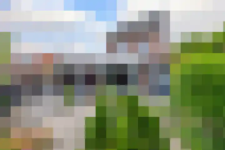 De Schansgraaf 14 Venlo thumbnail 21