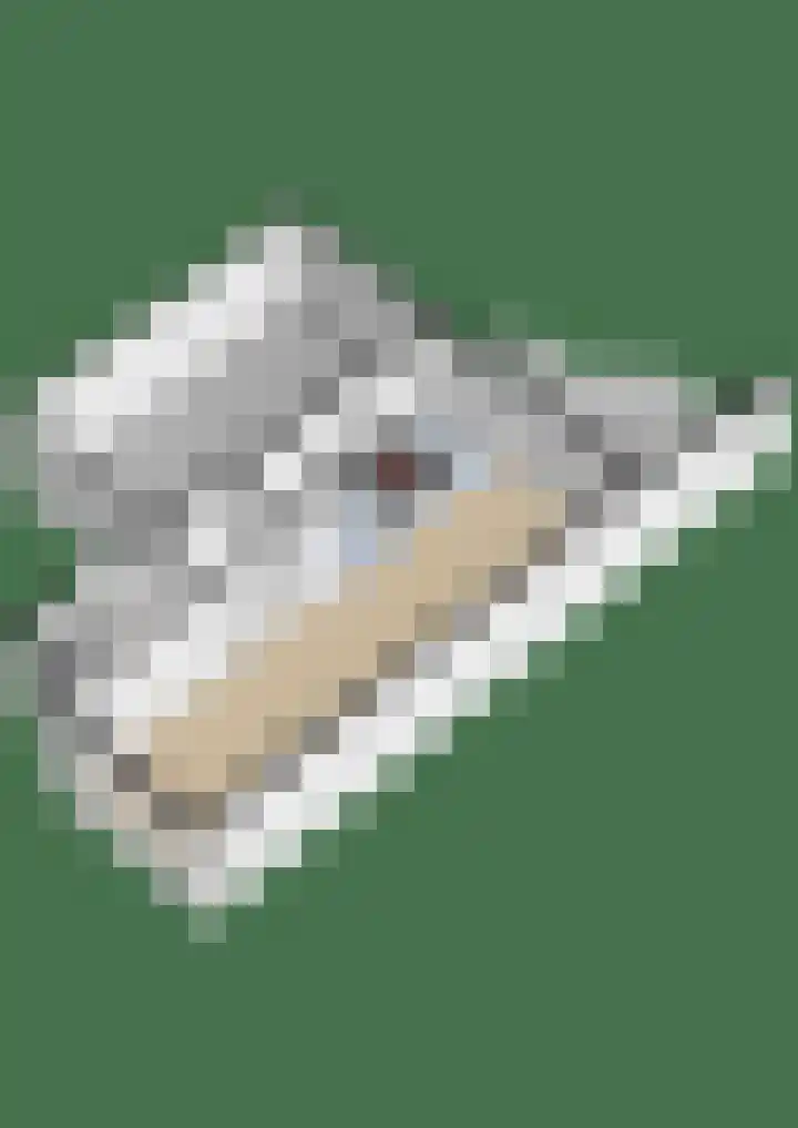 De Schansgraaf 14 Venlo thumbnail 31
