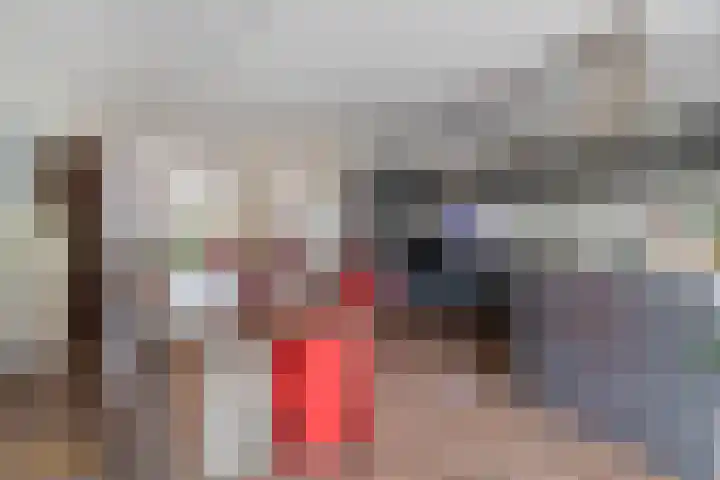 De Schansgraaf 14 Venlo thumbnail 8