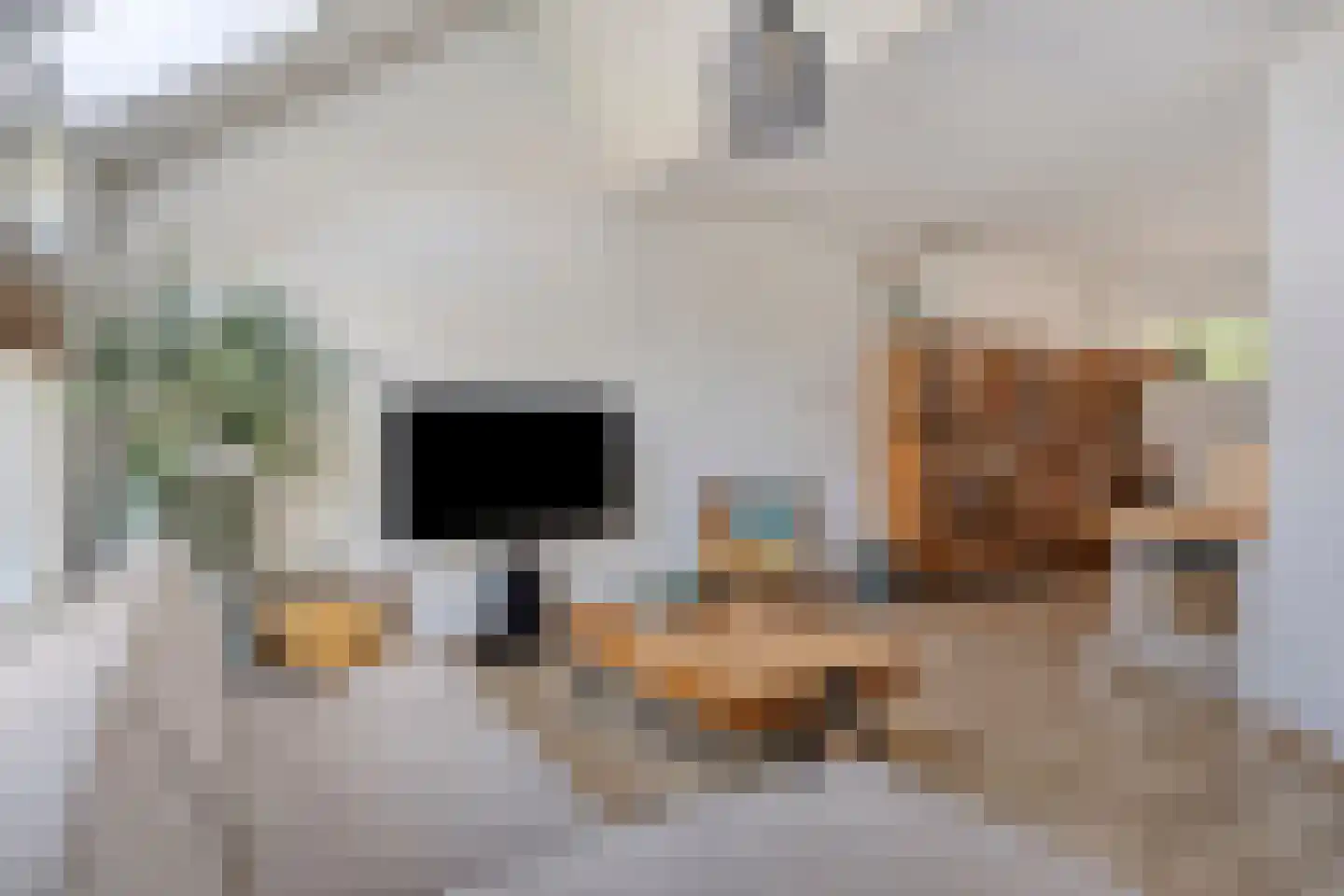 De Scharing 3 Muiderberg thumbnail 10