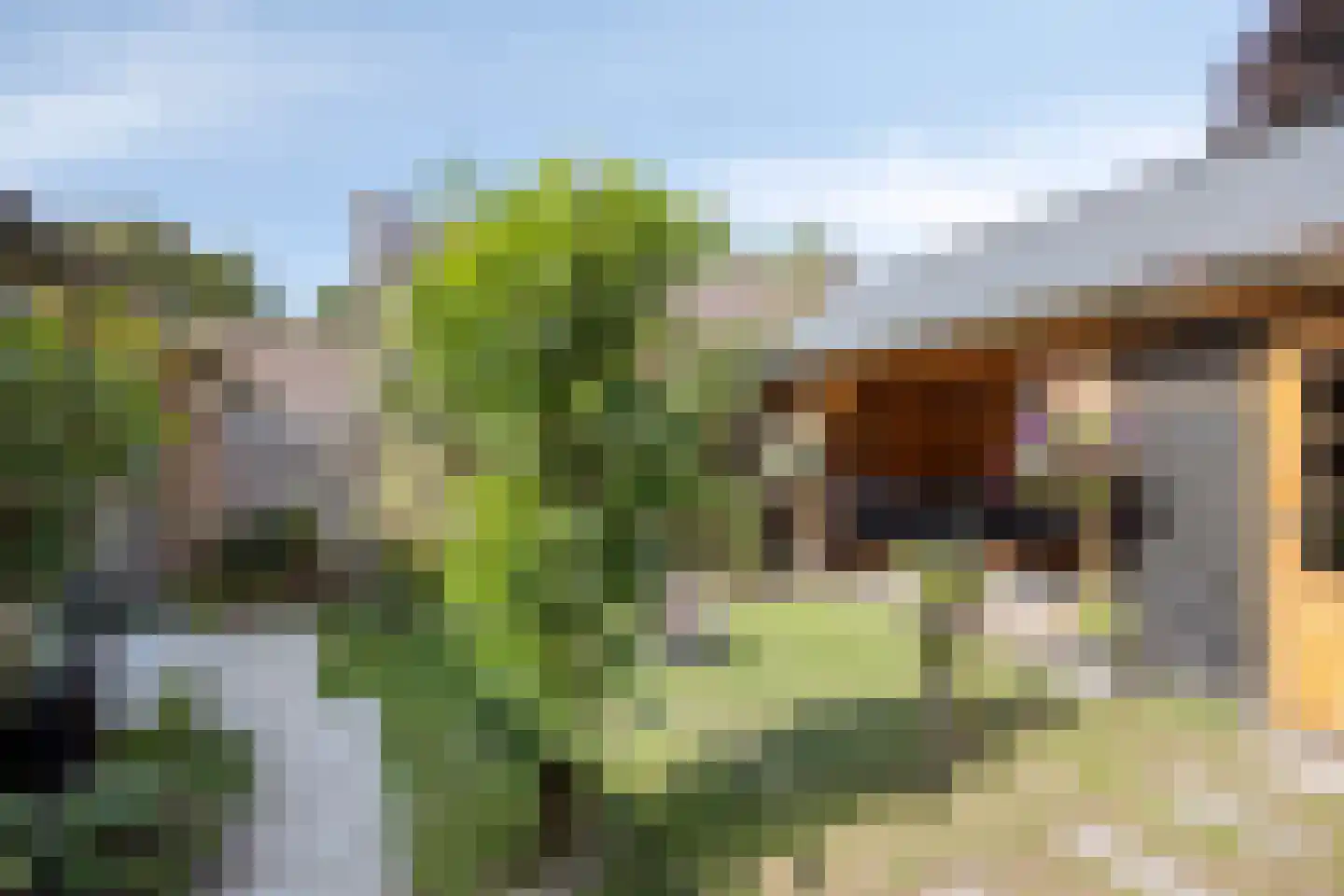 De Scharing 3 Muiderberg thumbnail 31