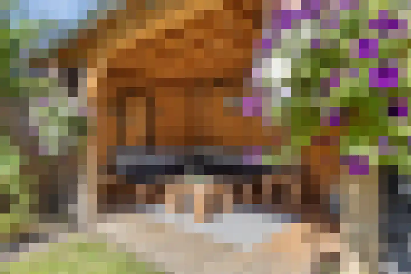 De Scharing 3 Muiderberg thumbnail 32
