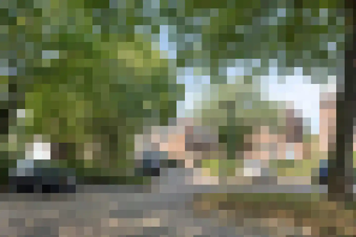 De Scharing 3 Muiderberg thumbnail 36