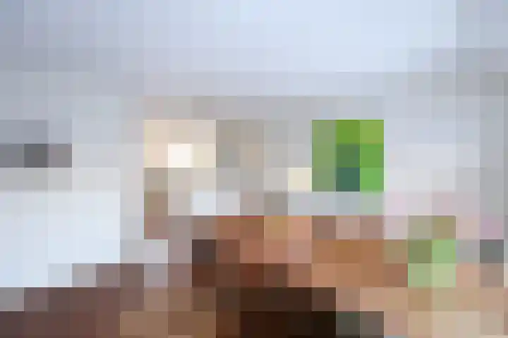 De Scharing 5 Muiderberg thumbnail 5