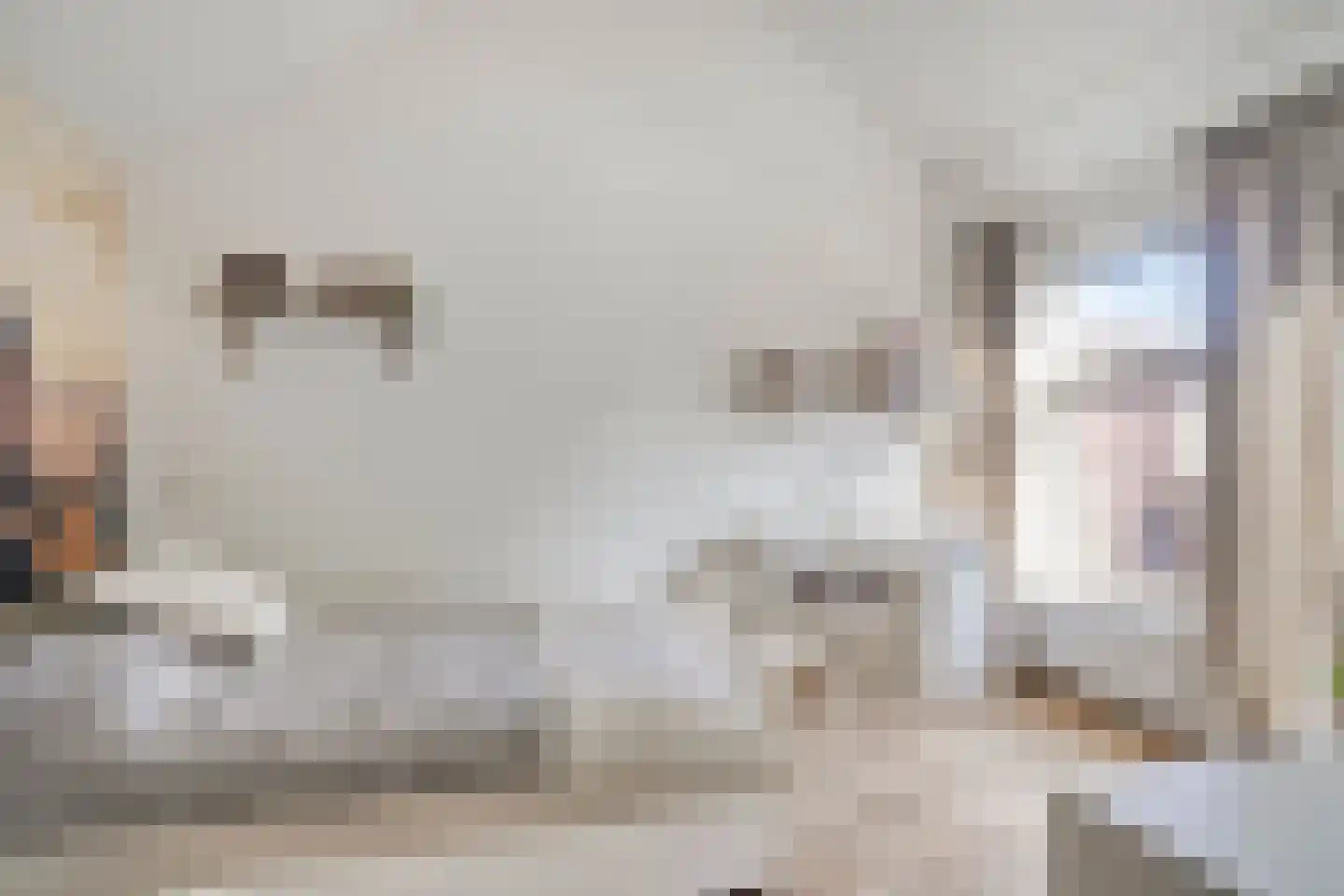 De Scharing 7 Muiderberg thumbnail 20