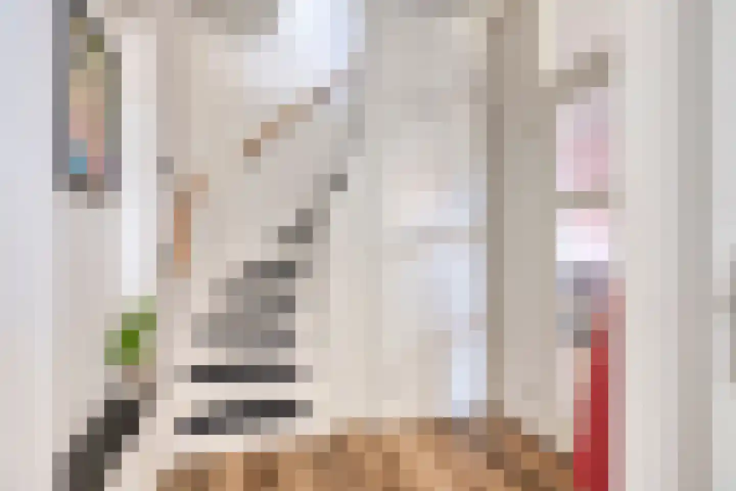 De Scharing 7 Muiderberg thumbnail 9