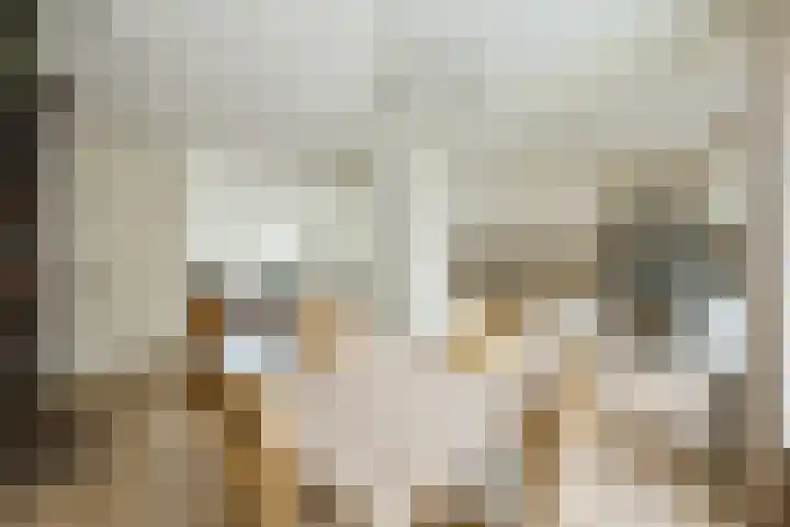 De Scheerder 9 Veldhoven thumbnail 10