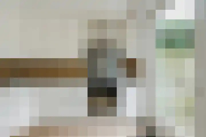 De Scheerder 9 Veldhoven thumbnail 12