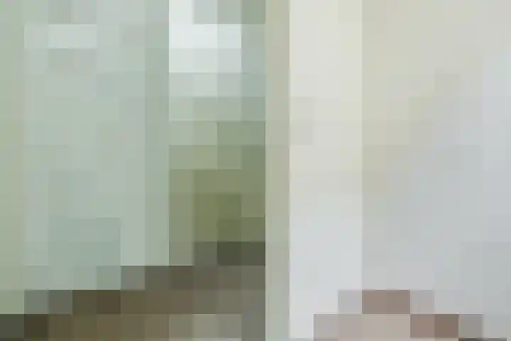 De Scheerder 9 Veldhoven thumbnail 15