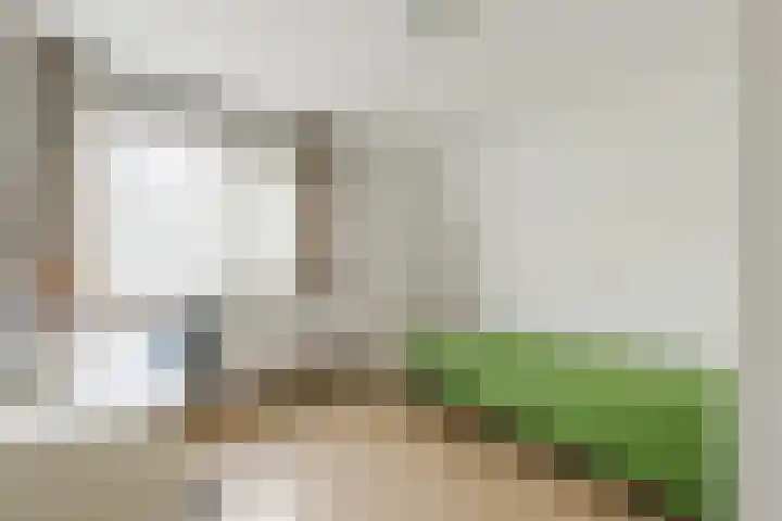 De Scheerder 9 Veldhoven thumbnail 19