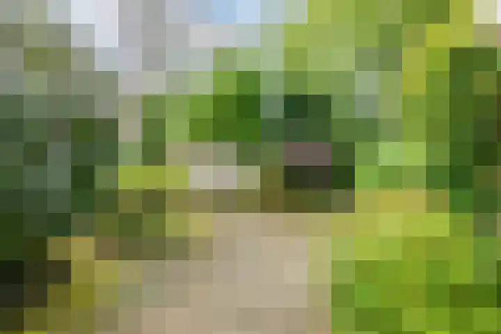 De Scheerder 9 Veldhoven thumbnail 28
