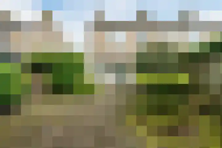 De Scheerder 9 Veldhoven thumbnail 29