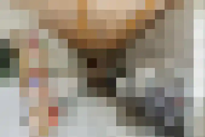 De Scheerder 9 Veldhoven thumbnail 30