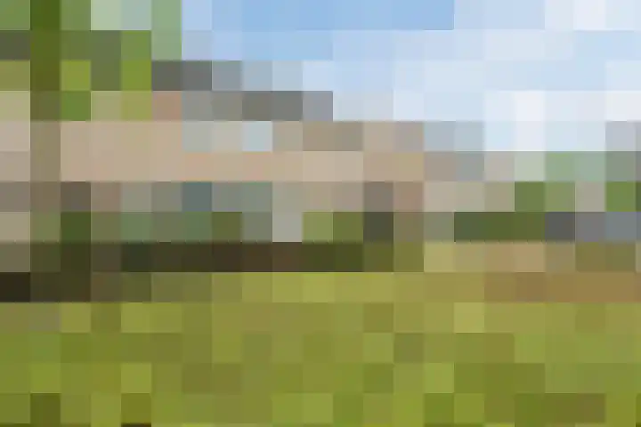 De Scheerder 9 Veldhoven thumbnail 32