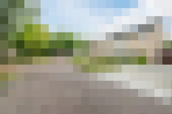 De Scheerder 9 Veldhoven thumbnail 33
