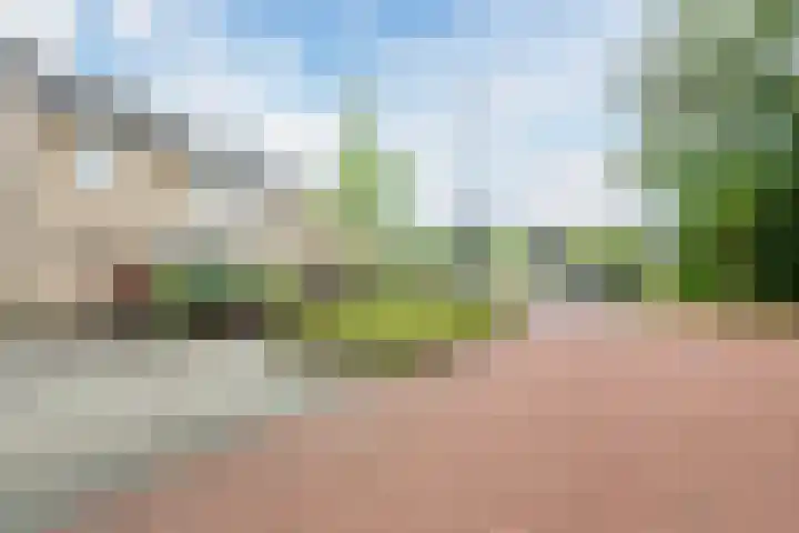 De Scheerder 9 Veldhoven thumbnail 34