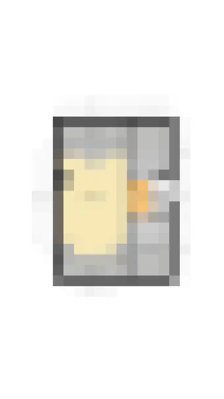 De Scheerder 9 Veldhoven thumbnail 37