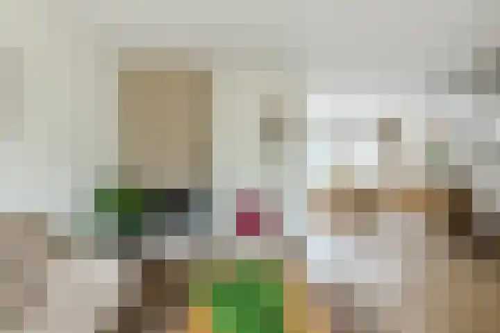 De Scheerder 9 Veldhoven thumbnail 8