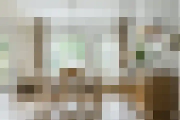 De Scheerder 9 Veldhoven thumbnail 9