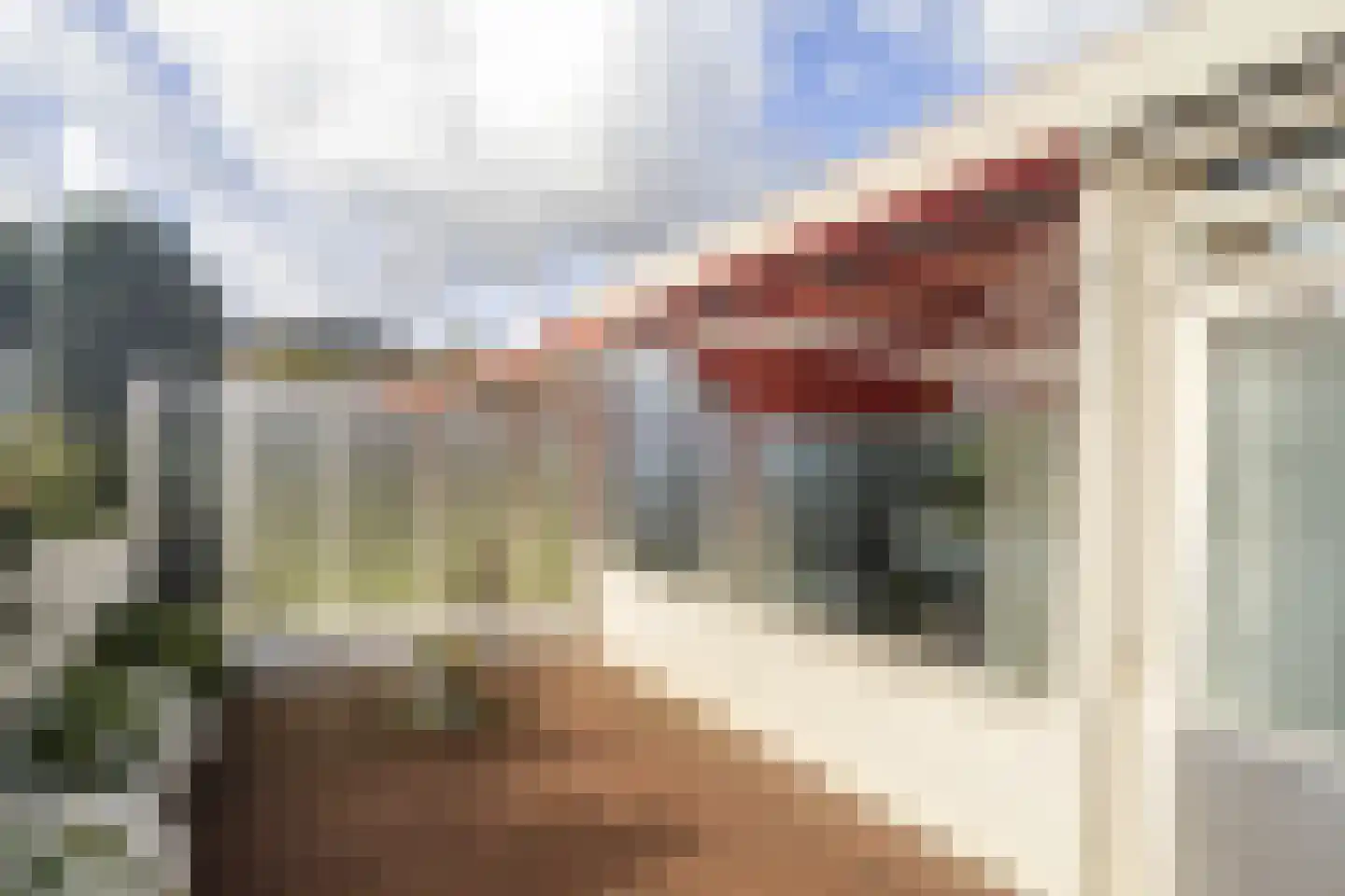 De Scheerman 5 Moergestel thumbnail 10