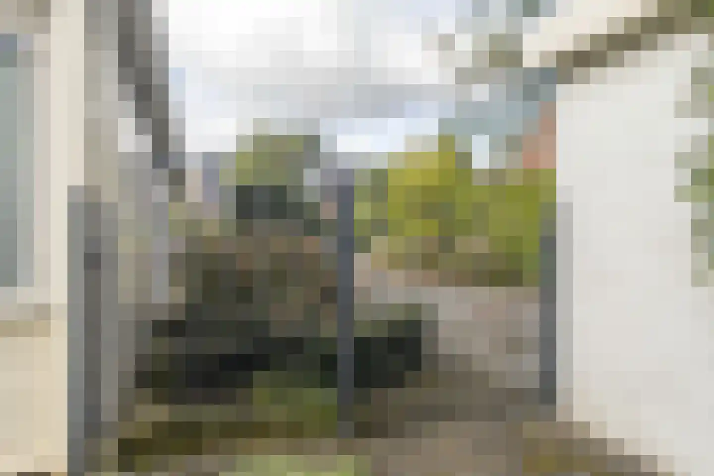De Scheerman 5 Moergestel thumbnail 14