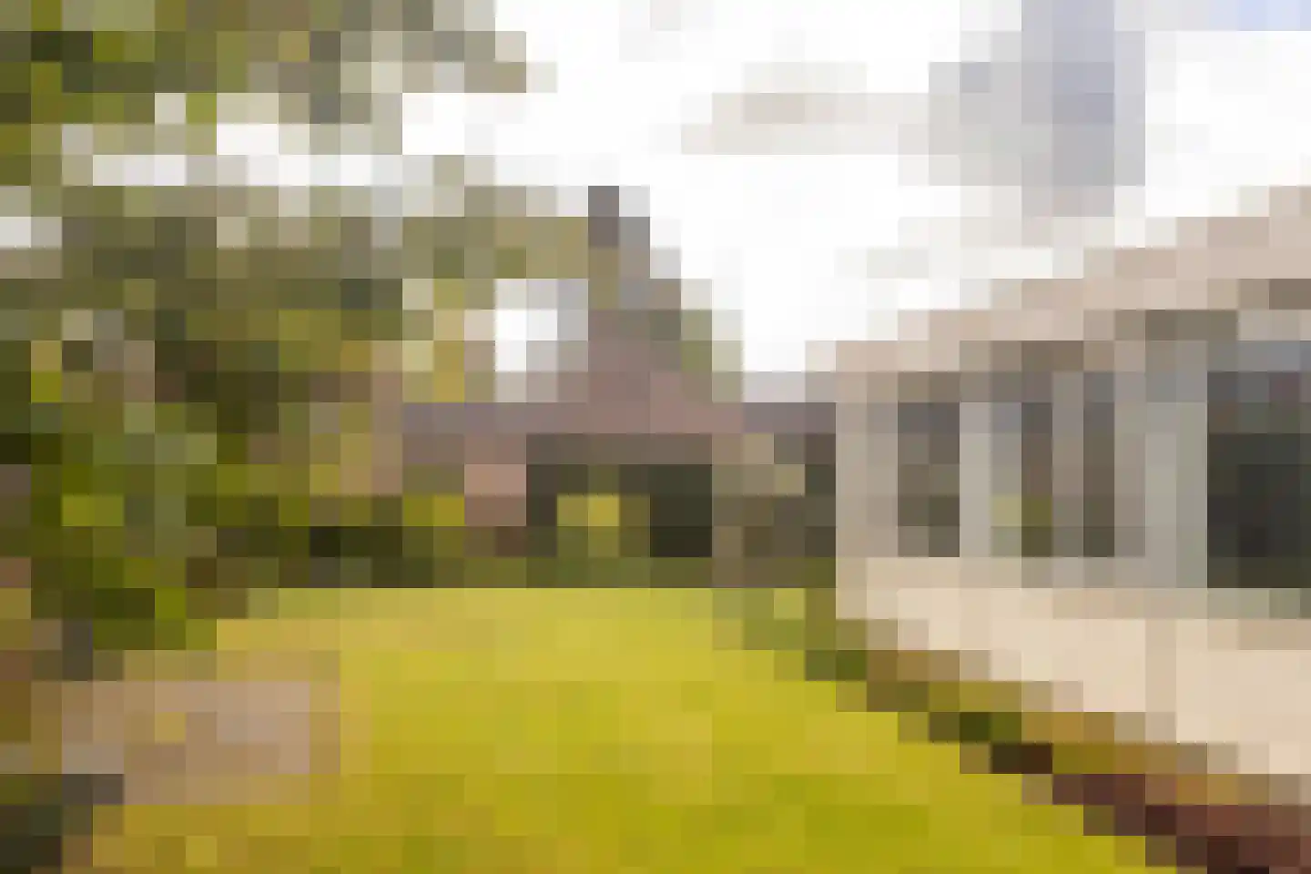 De Scheerman 5 Moergestel thumbnail 15