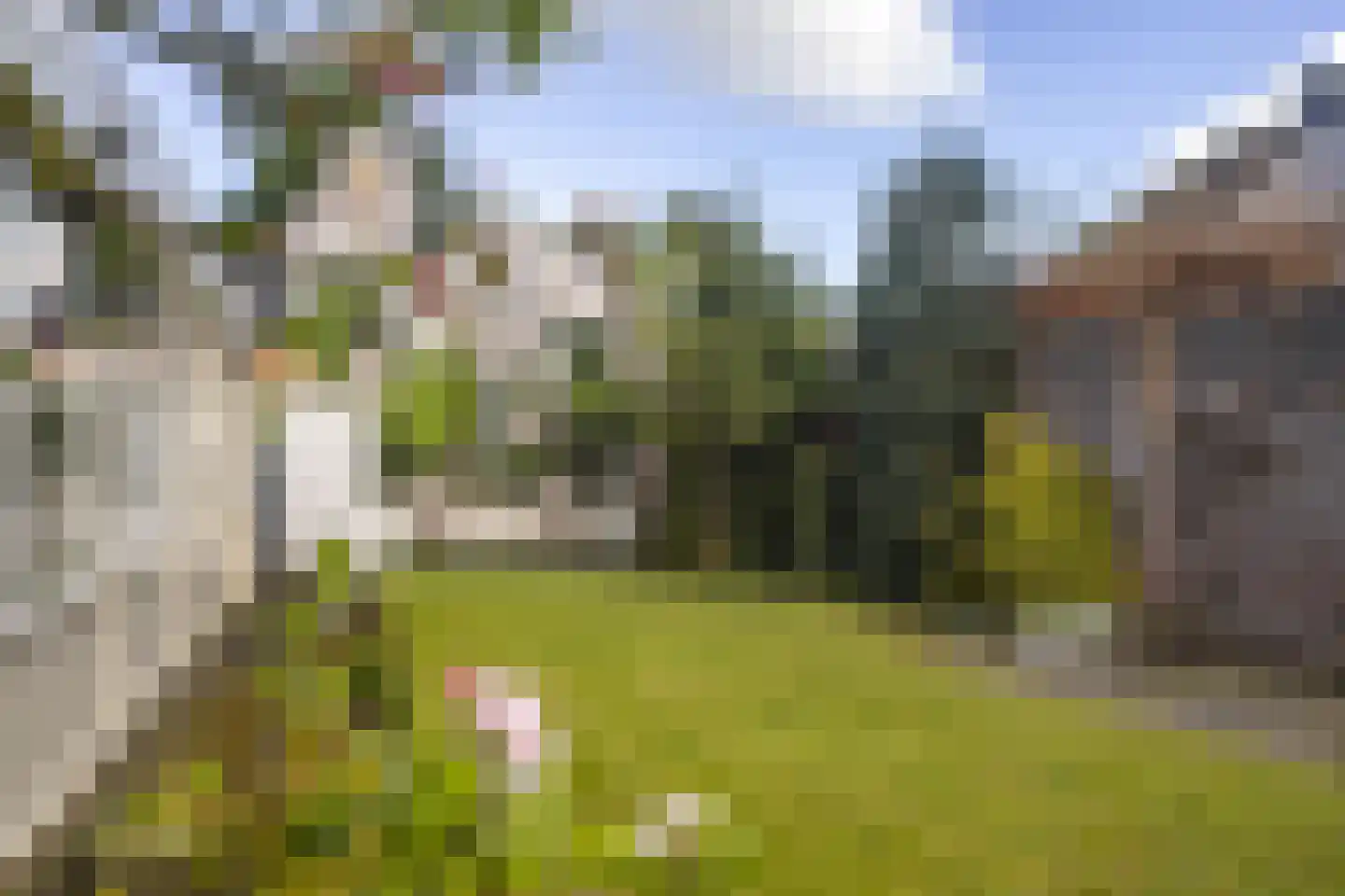De Scheerman 5 Moergestel thumbnail 16
