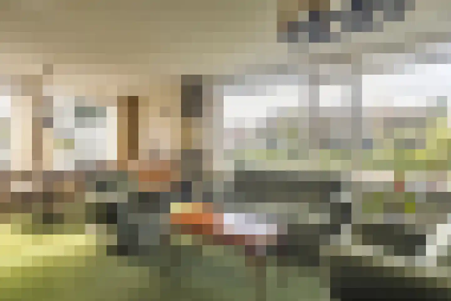 De Scheerman 5 Moergestel thumbnail 18