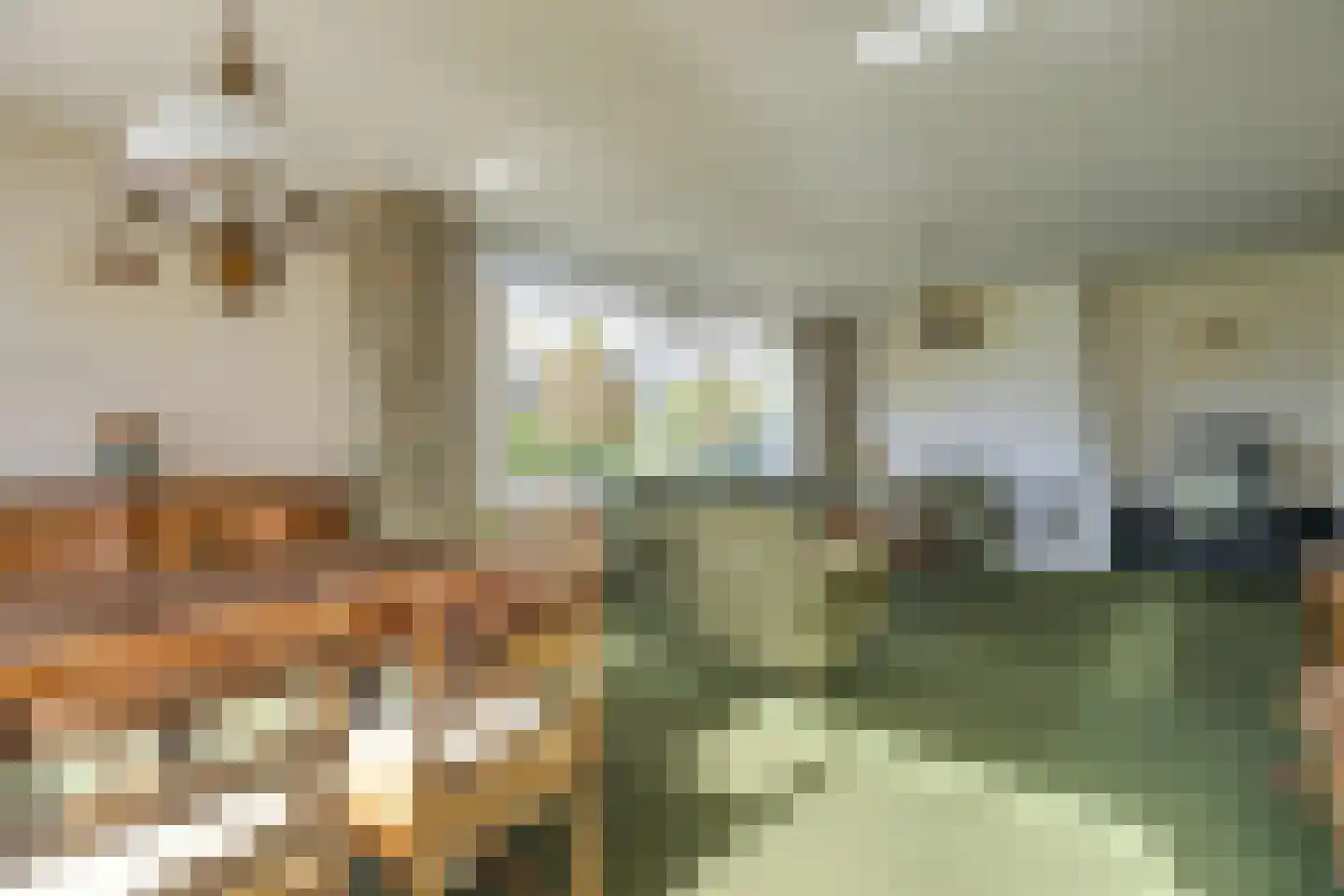 De Scheerman 5 Moergestel thumbnail 21
