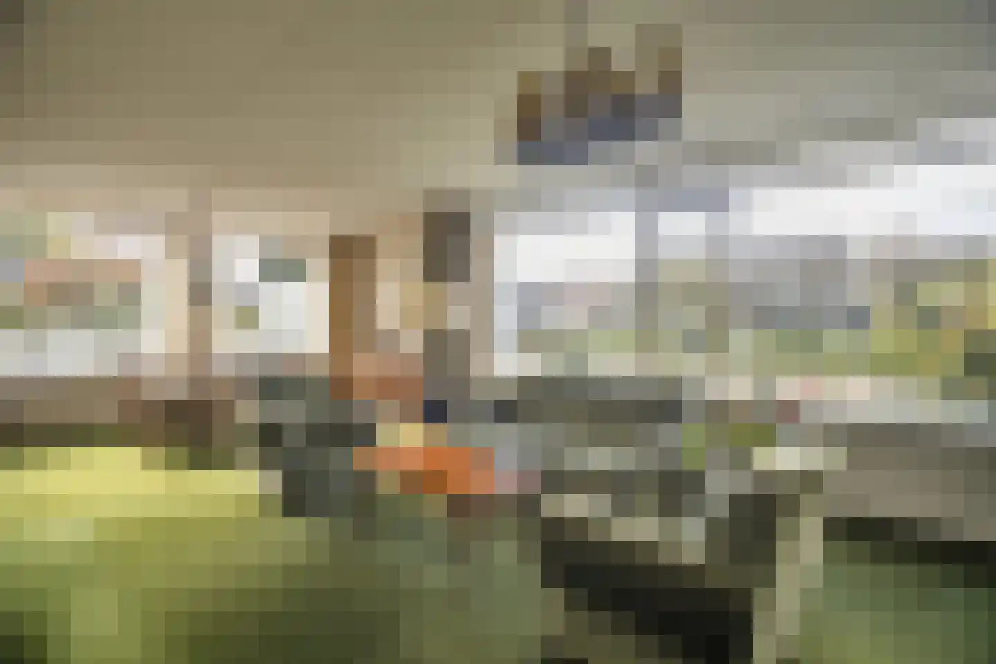De Scheerman 5 Moergestel thumbnail 22