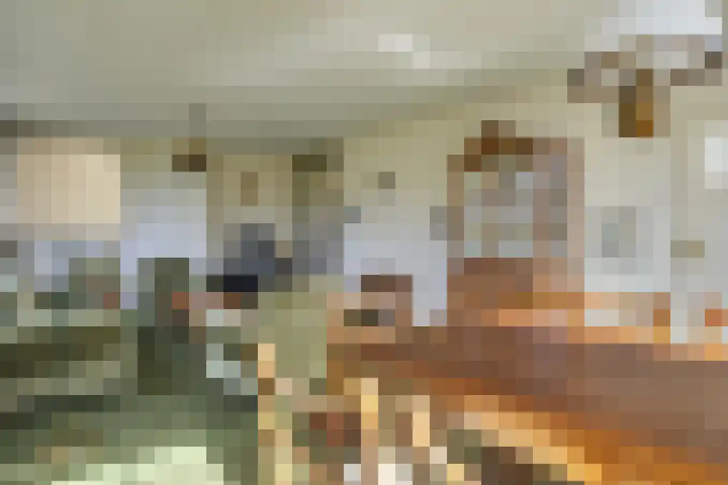 De Scheerman 5 Moergestel thumbnail 26