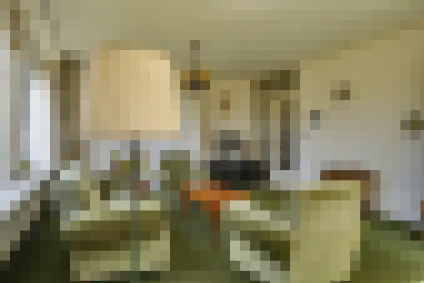 De Scheerman 5 Moergestel thumbnail 27