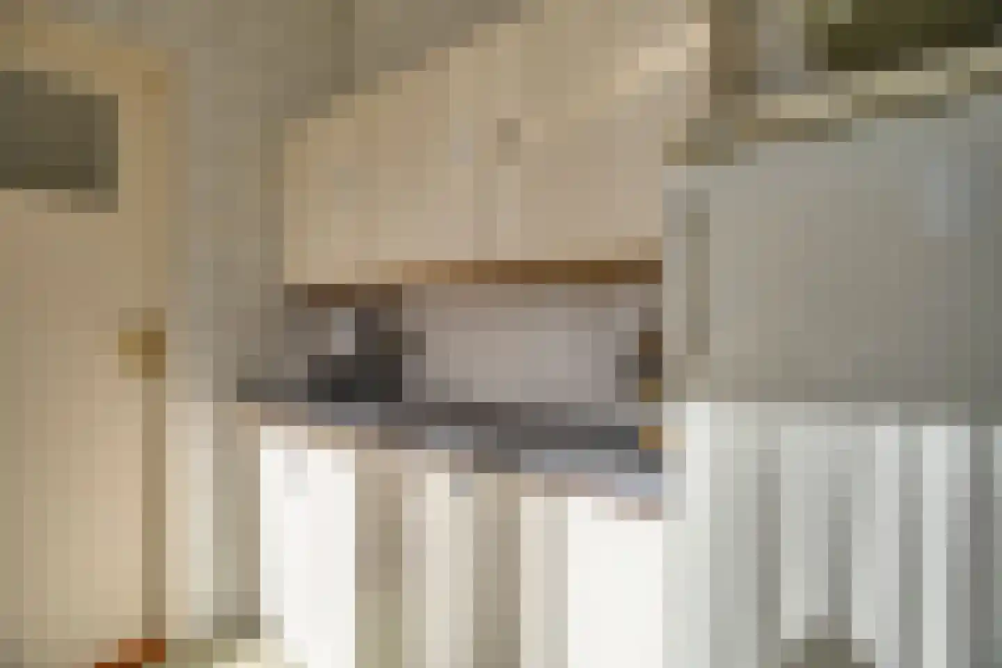 De Scheerman 5 Moergestel thumbnail 31