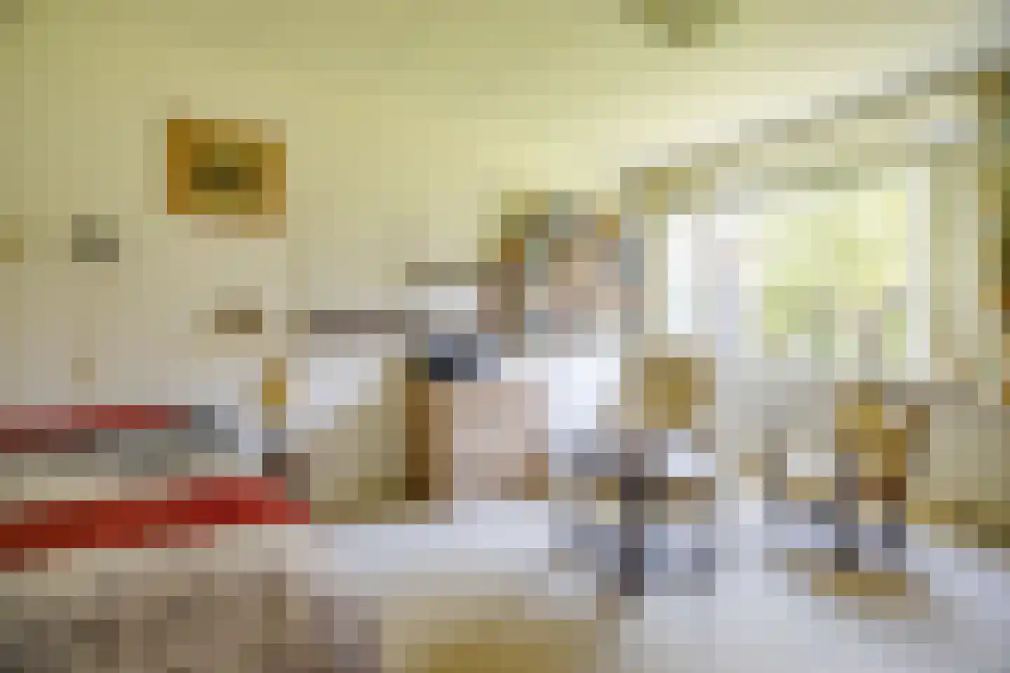De Scheerman 5 Moergestel thumbnail 36