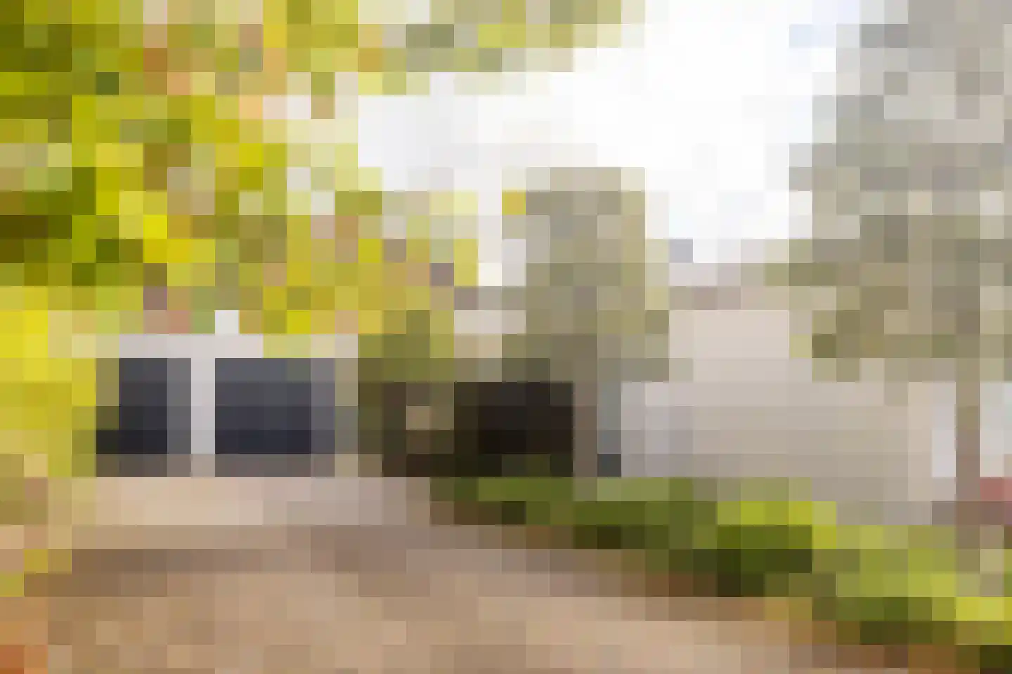 De Scheerman 5 Moergestel thumbnail 4